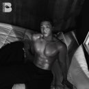 타이거파라다이스짐 이미지