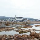 수도자연산횟집