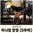 태권박사 & 스포츠 짐 | 상수역 PT 허니짐 후기 (5주 차) - 웨이트 운동 루틴, 체감 변화