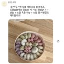 남양떡방앗간 - 북구 동문대로 14-1 | 꽃한조각, 화성 답례떡 돌상차림 떡 만족도 높은 내돈내산 후기