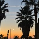 삼양검은모래해변 | Jeju♥ 제주도 검은모래해변(삼양해수욕장) 맛집 바다생각