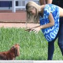 고마워강아지 이미지