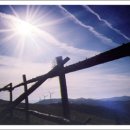 대관령목장 이미지