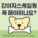 이쁘개 귀엽개 이미지