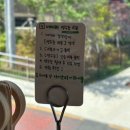 평거동11 | 평거동 브런치 카페 썬다운씬 재방문