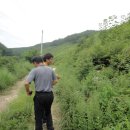 구아바랜드
