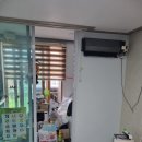 소안초등학교 네이버블로그