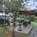 세븐일레븐강화장화리 이미지