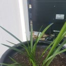 하노이 행정사 이미지