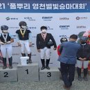 구미시 승마장 이미지