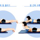 바비퀸