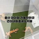 건이네 파충류 | 울산 실내 아이와 가볼만한 곳/건이네파충류&amp;카페