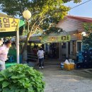 박씨농원