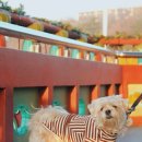 운동장화장실(남쪽) 이미지