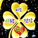 오늘더사랑해 Daum카페