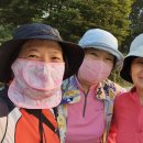 걷기체조 이미지