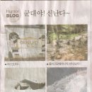 와아이라 이미지