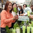 세니떼뷰티샵 이미지