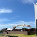 푸르댕댕 이미지