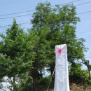 탄현체육공원 이미지