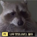 진미 평양냉면 이미지