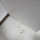 강송로225번길 네이버블로그
