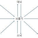 건강한뇌신경과의원 이미지