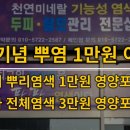 큐사랑 운정점