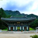 법흥사징효국사부도 | 국내 5대 적멸보궁 영월 법흥사(法興寺)