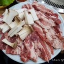 보성녹돈전문식당 네이버블로그