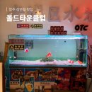 스타일클럽 | 성안길 맛집 홍콩 스타일 분위기 좋은 식당 올드타운클럽 주말 웨이팅 내돈내산 솔직 후기