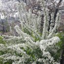 남산 산책로 이미지