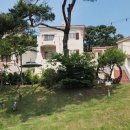 콩스빌리지 | 강화도애견펜션 자주 방문하고 싶은 로만티카 애견리조트