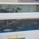 산수낚시터 이미지