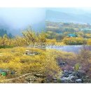 상위마을 입구 이미지
