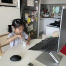 빙그레 그릭요거트 꾸덕한 요플레 후기(딸기, 복숭아)