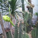 두꺼비농장 이미지