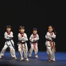 진주태권도장 이미지