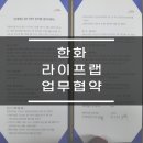 서진DCP
