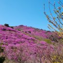 (주)두암산업 | 여수 영취산 진달래 등산 코스 및 대중교통