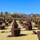 유엔기념공원주차장 이미지