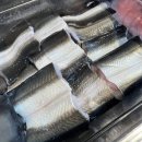 수라간 | [광주] 경안동 맛집 무한리필 푹빠진 풍천수라간 후기
