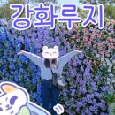 안녕닭,안녕게장 이미지