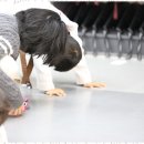 소원 태권도 이미지