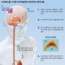 아드레날린