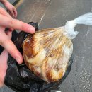 김밥의생 | 구포시장맛집 꿀떡 솔직 후기와 이동규통통김밥까지