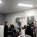머리염색체험방 이미지