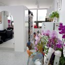 신서귀로 이미지