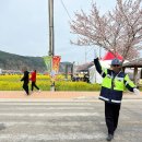 너랑나랑노랑 유채꽃축제🌼🌷🌱