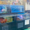 태평양수산회세꼬시 이미지